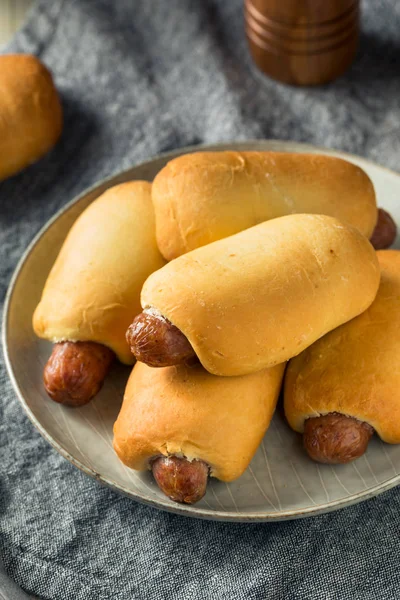 Homemade Beef Sausage Kolache — Stock Photo, Image