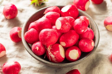 Ham kırmızı organik turp