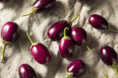 Ham organik mor Hint patlıcan