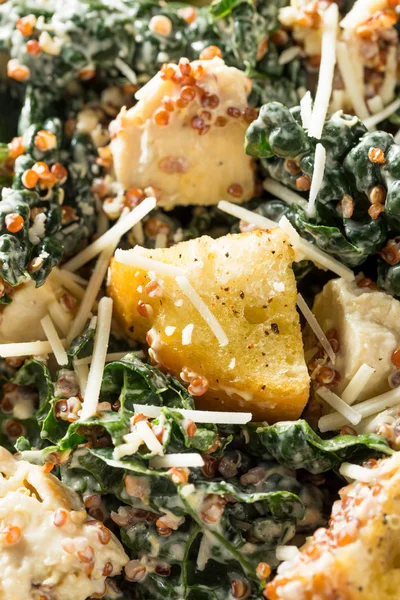 Homemade Kale Quinoa Caesar Salad — Stock Photo, Image