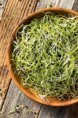 Ham yeşil organik soğan lahanası