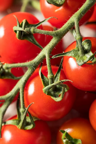 Pomodori a ciliegia biologici rossi crudi — Foto Stock