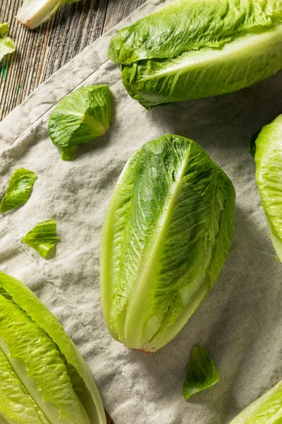 Alface Romaine verde saudável orgânica — Fotografia de Stock