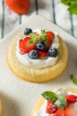 Meyveli Ev Yapımı Mini Sünger Kek Bardakları