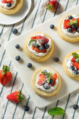 Meyveli Ev Yapımı Mini Sünger Kek Bardakları