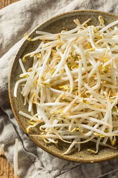 Brotes de frijol orgánico blanco crudo —  Fotos de Stock