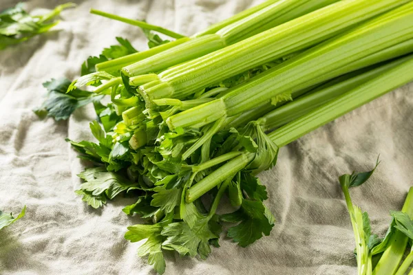 Rauwe groene organische selderij — Stockfoto