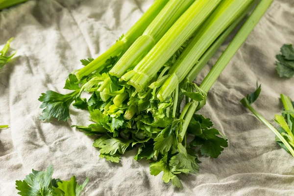 Rauwe groene organische selderij — Stockfoto