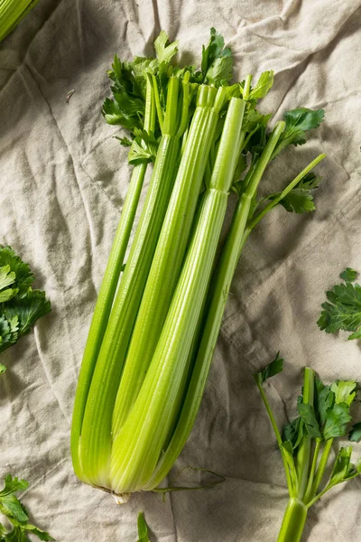 Rauwe groene organische selderij — Stockfoto