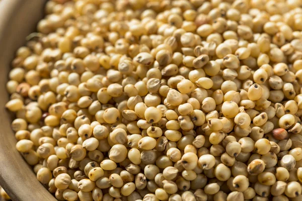 Raw Organic Sorghum Grain — Stock Photo, Image