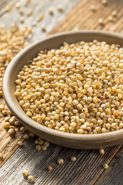 Grano di sorgo biologico crudo — Foto Stock