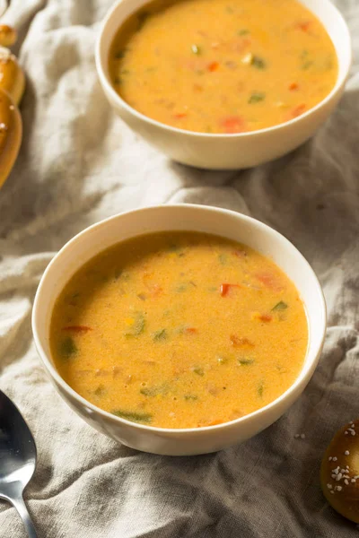 Cerveza casera sopa de queso —  Fotos de Stock