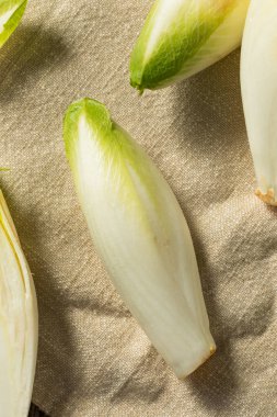 Ham organik Belçikalı hindiba