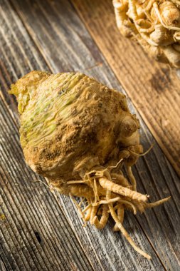 Çiğ Organik Kahverengi Kereviz Kökü