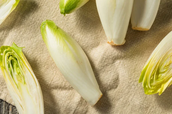 Raw Organic Belgian Endive — Stock Photo, Image