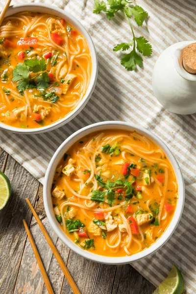 Homemade Thai Chicken Coconut Curry Pho — Stock Photo, Image