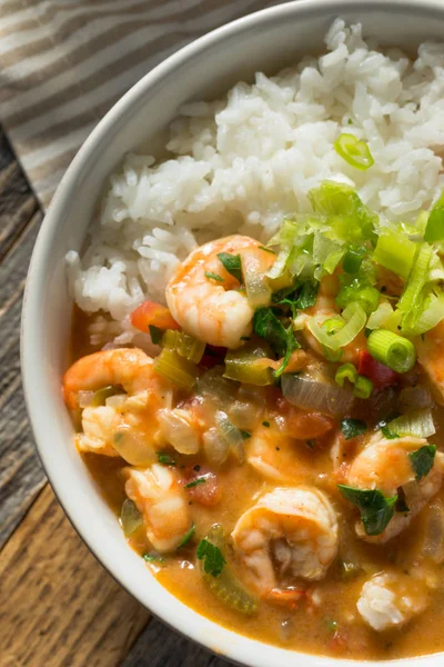 Spicy Homemade Cajun Shrimp Etouffee — Stok Foto