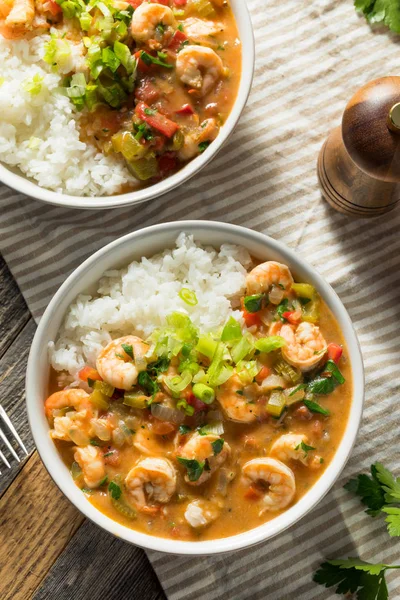 Spicy Homemade Cajun Shrimp Etouffee — Stok Foto