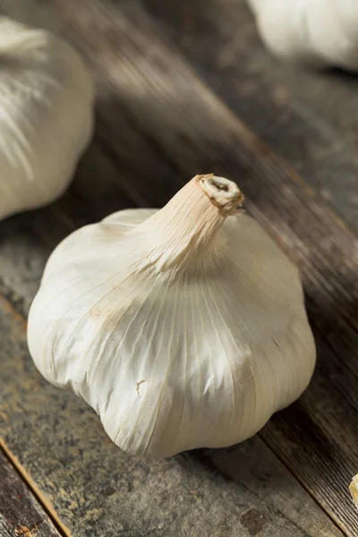 Raw Organic Garlic Bulbs — Stock Photo, Image
