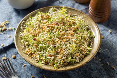 Çiğ Organik Fasulye Filizi Salatası