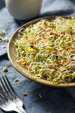 Çiğ Organik Fasulye Filizi Salatası