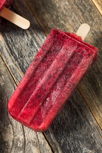 Homemade Frozen Kombucha Berry Popsicles — Stock Photo, Image