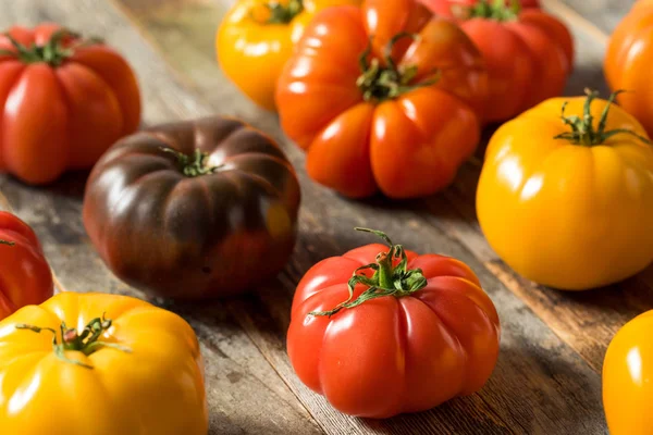 Здоровые органические реликтовые помидоры — стоковое фото