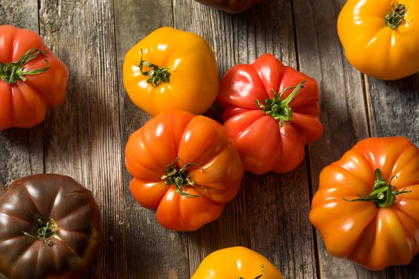 Здоровые органические реликтовые помидоры — стоковое фото