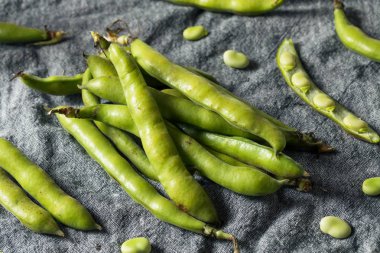 Çiğ Yeşil Organik Fava Fasulye