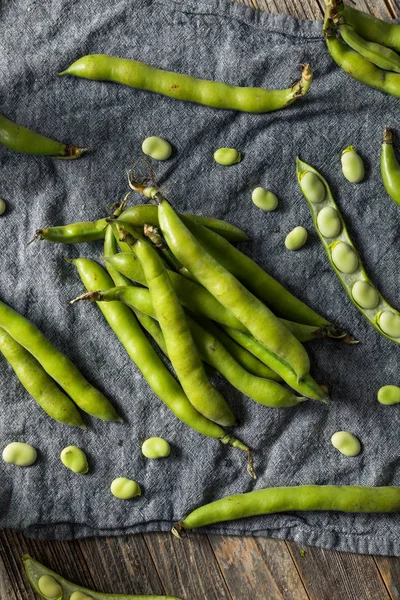 Raw Green Organic Fava Beans