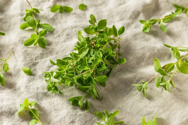 Organic Raw Green Marjoram Herb — Stock Photo, Image
