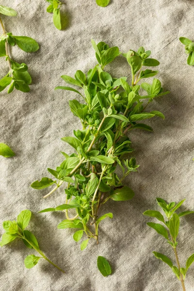 Hierba de mejorana verde cruda orgánica —  Fotos de Stock