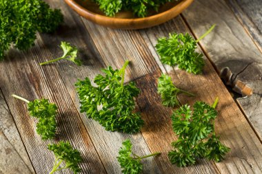 Ham yeşil organik kıvırcık maydanoz