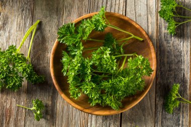 Ham yeşil organik kıvırcık maydanoz