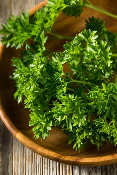 Ham yeşil organik kıvırcık maydanoz