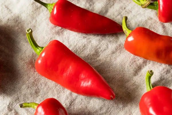 Raw Red Organic Fresno Peppers — Fotografie, imagine de stoc