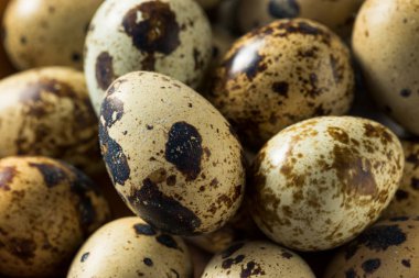 Çiğ Organik Benekli Bıldırcın Yumurtası