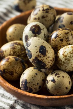 Çiğ Organik Benekli Bıldırcın Yumurtası