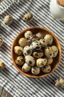 Çiğ Organik Benekli Bıldırcın Yumurtası