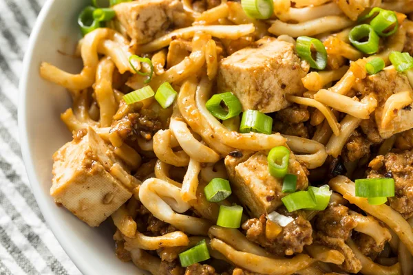 Fideos caseros japoneses Mapo Tofu Udon —  Fotos de Stock