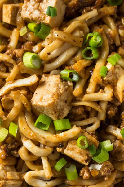 Homemade Japanese Mapo Tofu Udon Noodles — Stock Photo, Image