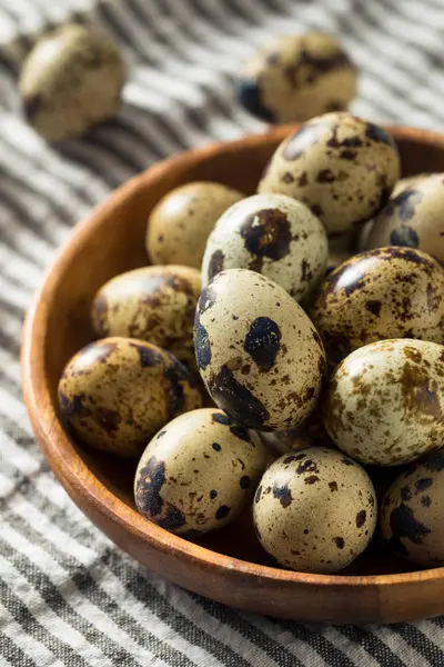 Raw Organic Spotted Quail Eggs — Stock Photo, Image