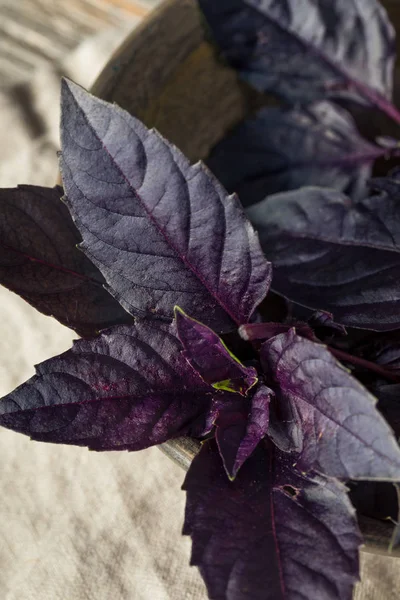 Organic Raw Purple Opal Basil