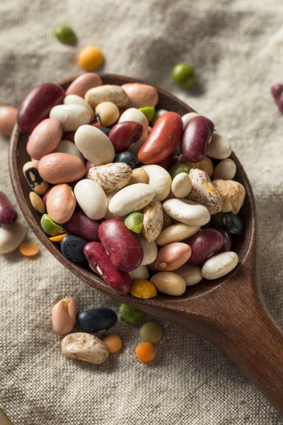 드라이 유기농 모듬 콩 혼합물 — 스톡 사진