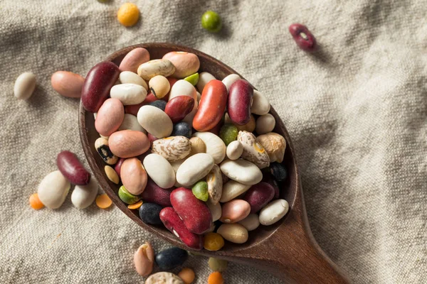 Суха органічна суміш сортів бобів — стокове фото