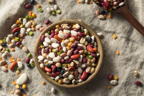 Dry Organic Assorted Bean Mixture — Stock Photo, Image