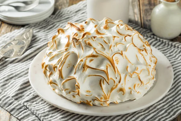 Homemade Toasted Baked Alaska — Stock Photo, Image