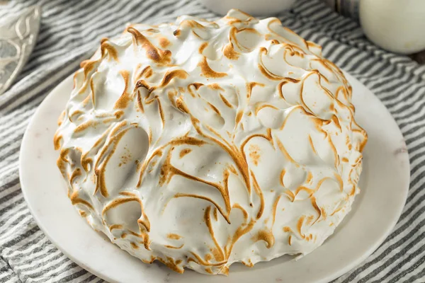 Homemade Toasted Baked Alaska — Stock Photo, Image