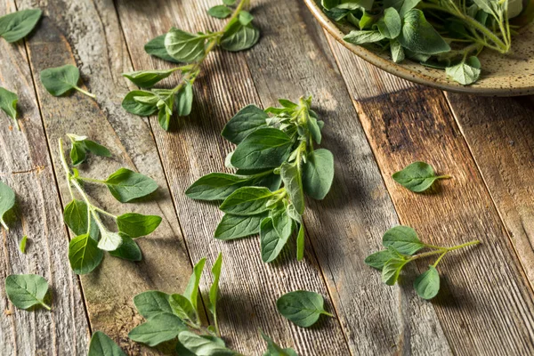 Oregano orgánico verde crudo —  Fotos de Stock