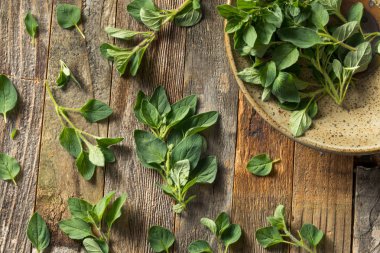 Ham yeşil organik kekik